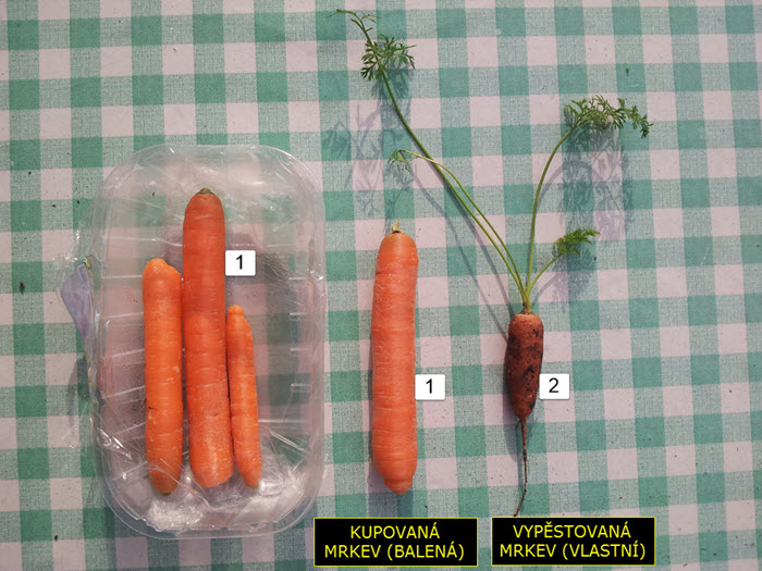 Kupované nebo vypěstované | Jídlo | Pití Kupované nebo vypěstované | Jídlo | Pití